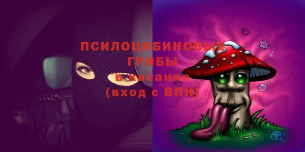 твердый Богданович