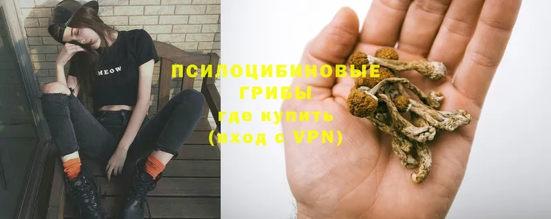 Псилоцибиновые грибы GOLDEN TEACHER  Боровичи 